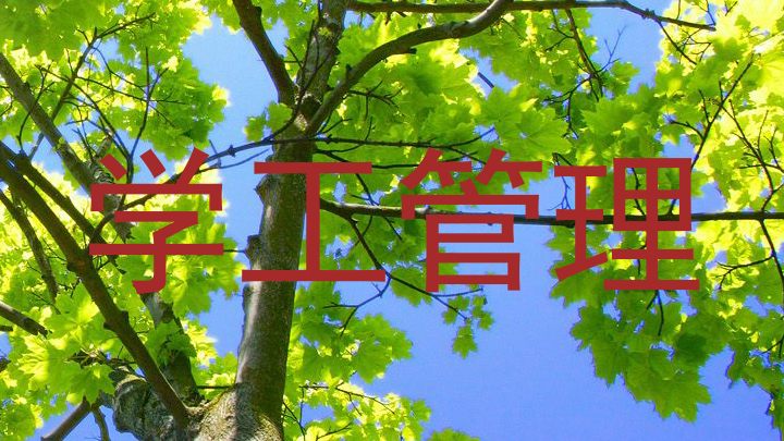 学工管理