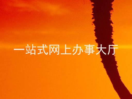 一站式网上办事大厅