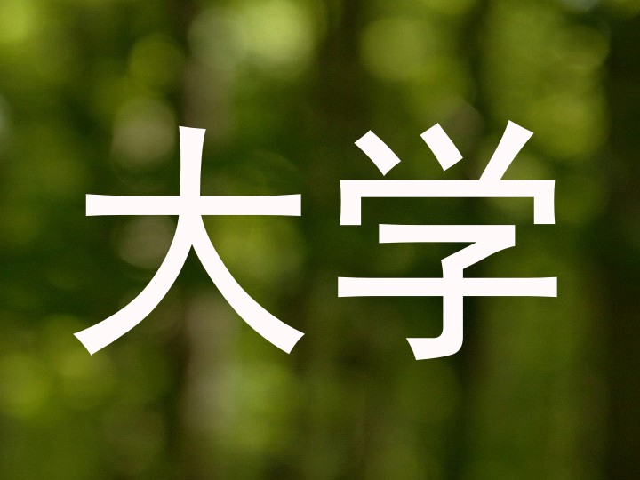 大学