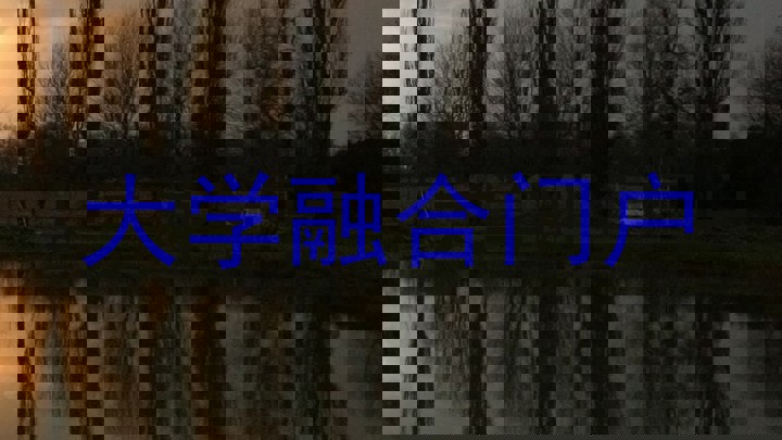 大学融合门户