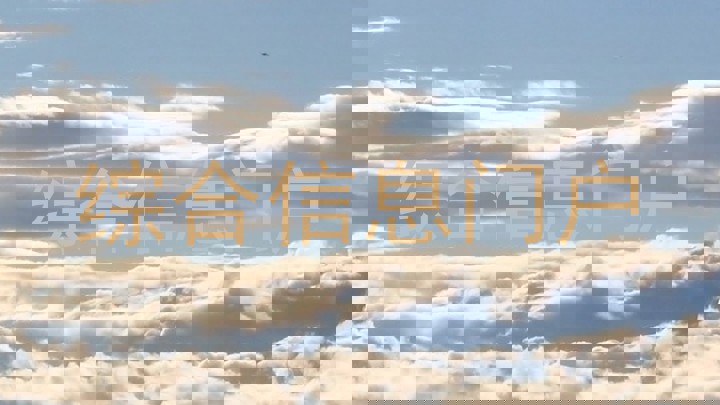 综合信息门户
