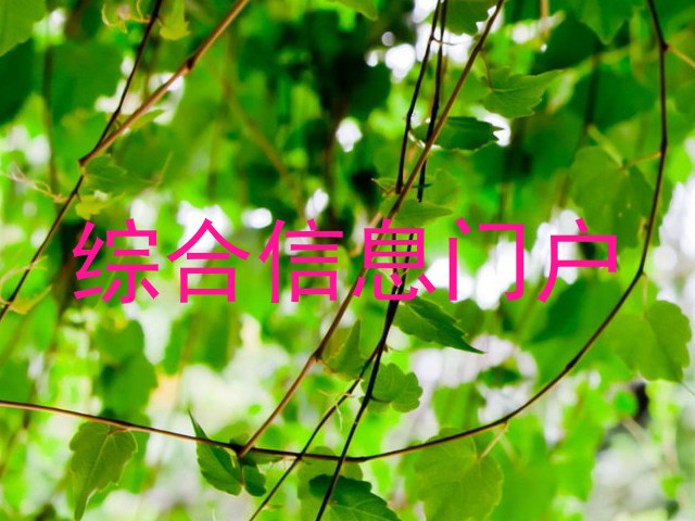 综合信息门户
