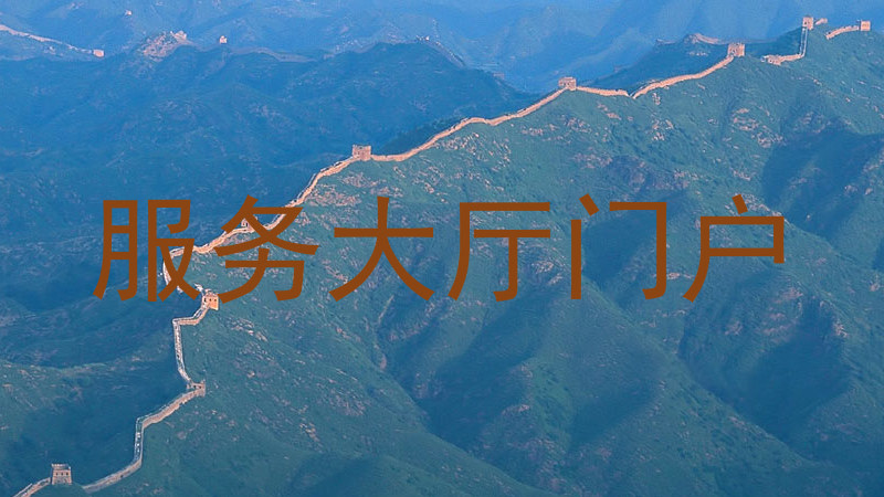 服务大厅门户