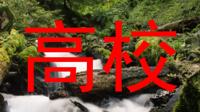 高校