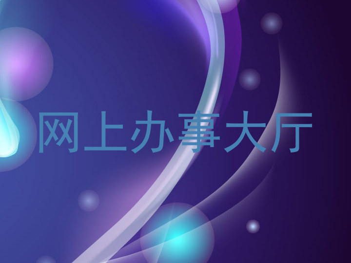 网上办事大厅