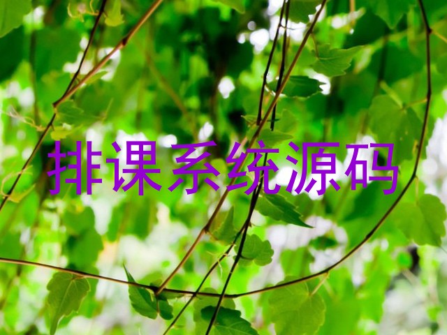 排课系统源码
