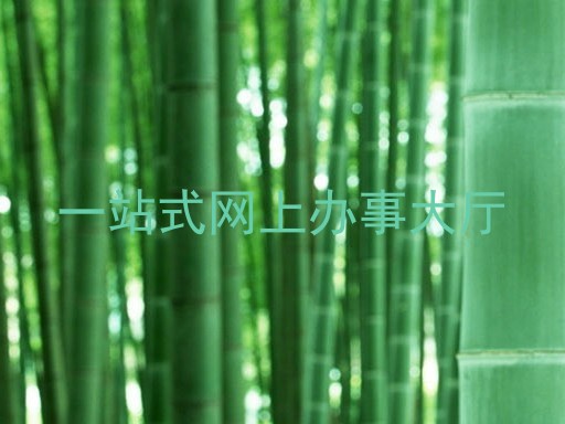 一站式网上办事大厅