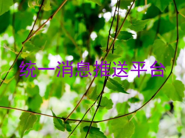 统一消息推送平台