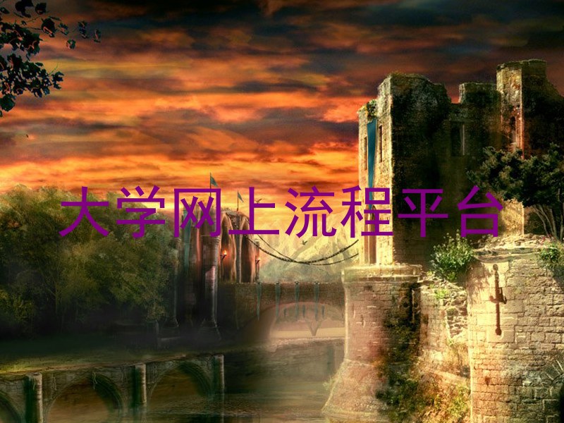 大学网上流程平台