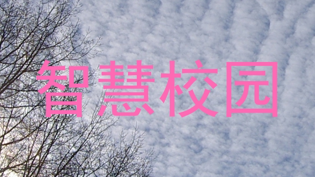 智慧校园