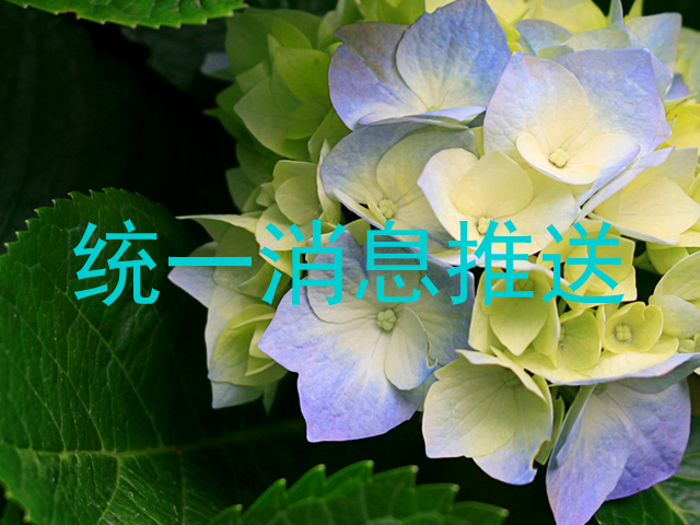 统一消息推送