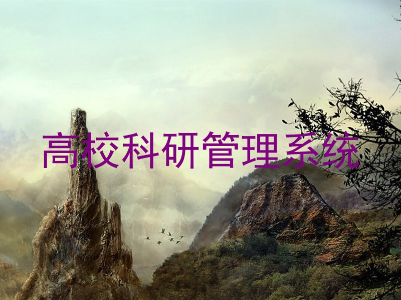 高校科研管理系统