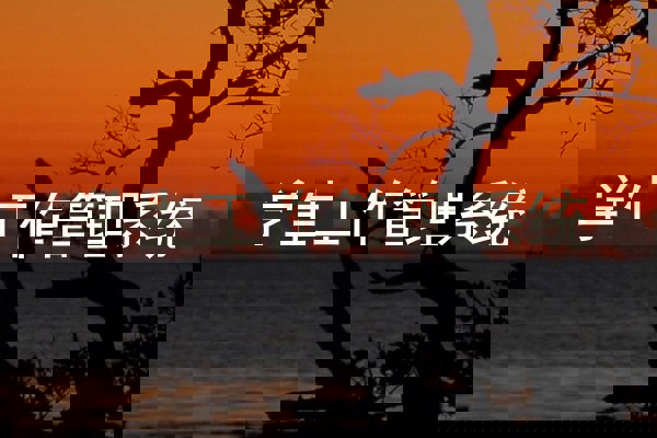 学生工作管理系统