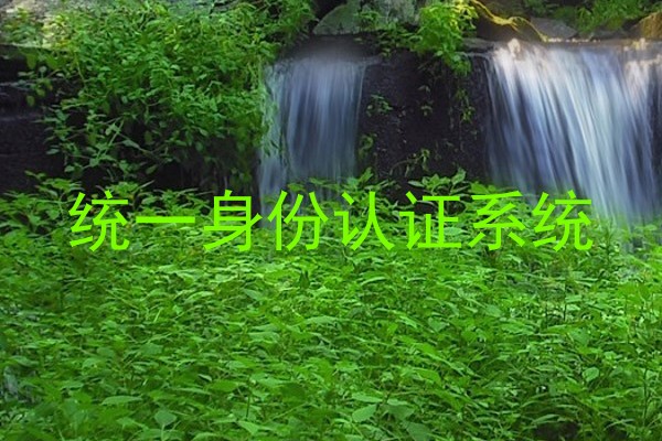 统一身份认证系统