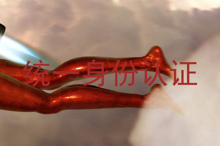 统一身份认证