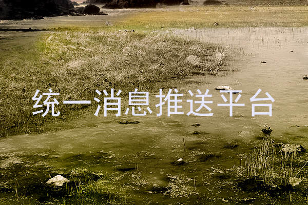 统一消息推送平台