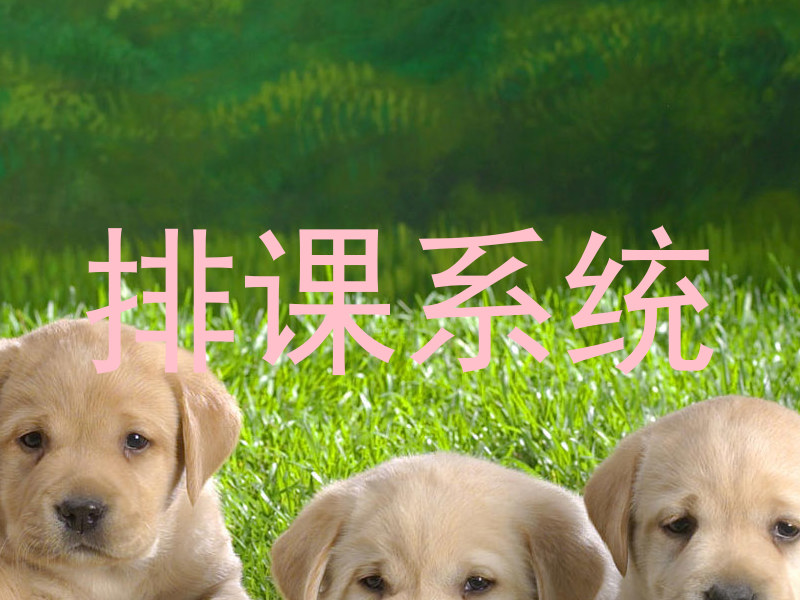 排课系统