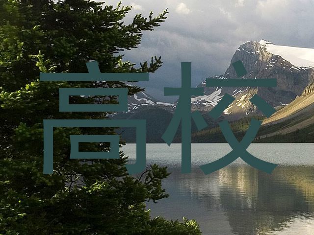 高校