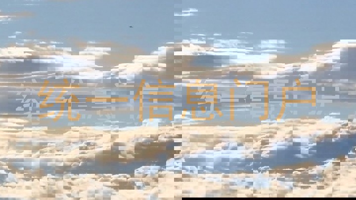 统一信息门户