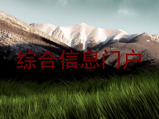 综合信息门户