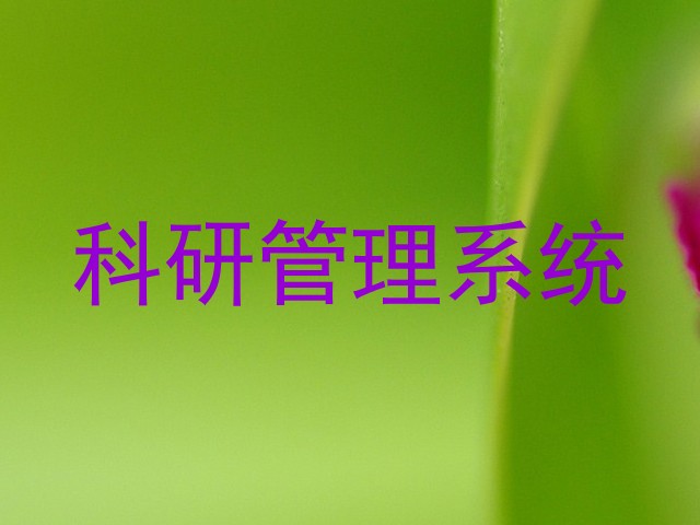 科研管理系统