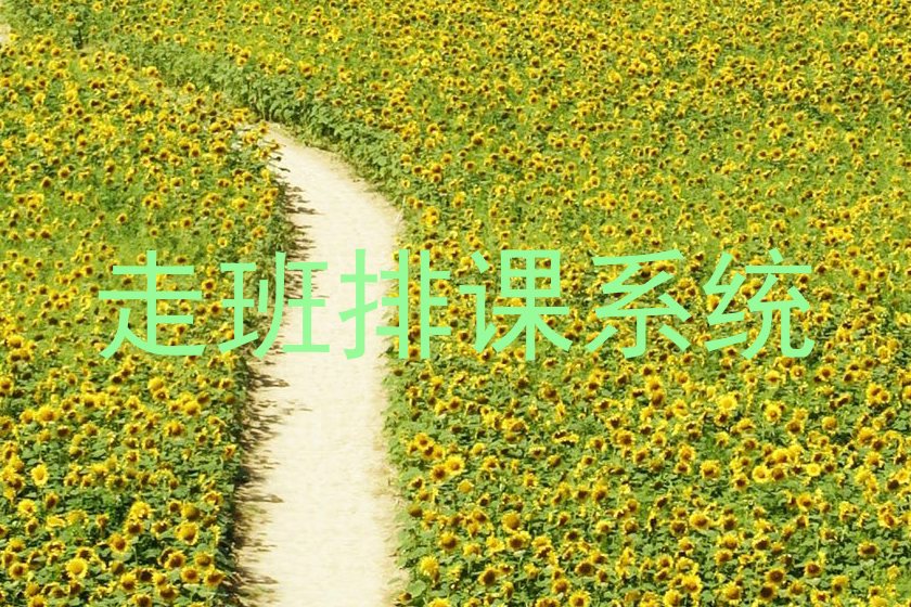 走班排课系统