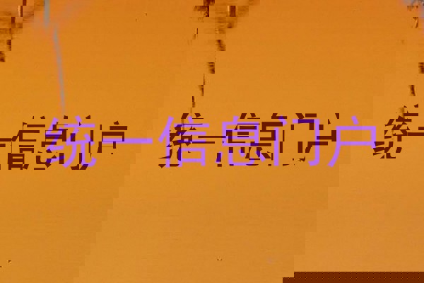 统一信息门户
