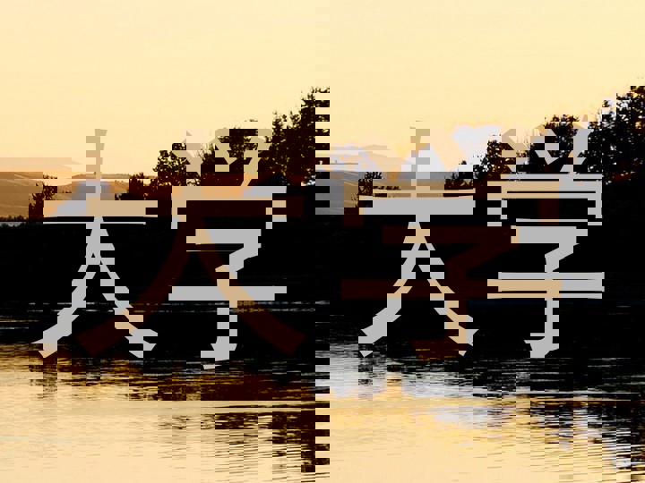 大学