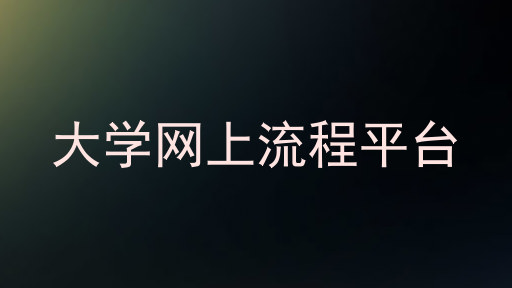 大学网上流程平台