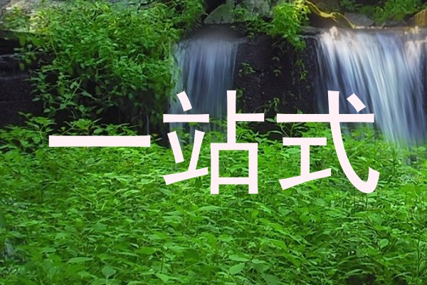 一站式