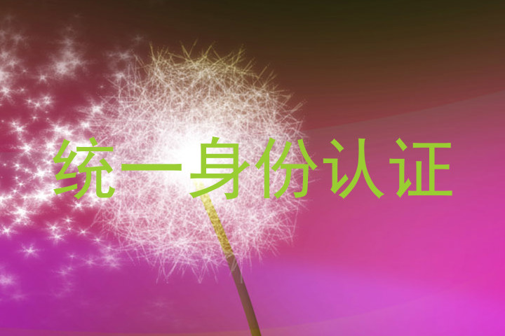 统一身份认证