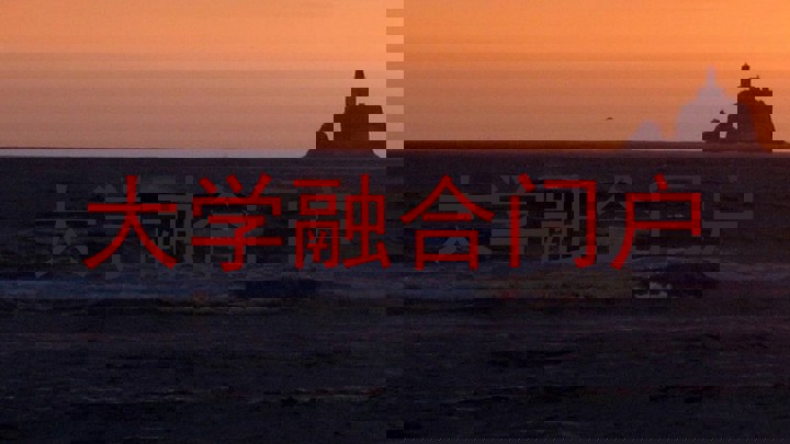 大学融合门户