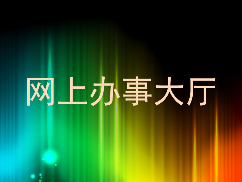 网上办事大厅