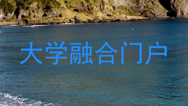 大学融合门户