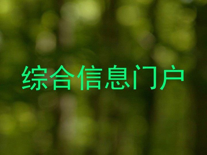 综合信息门户