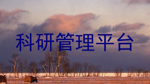 科研管理平台