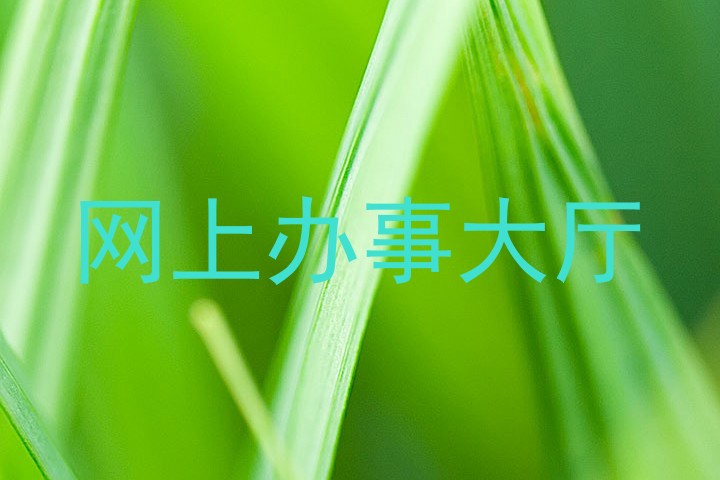 网上办事大厅