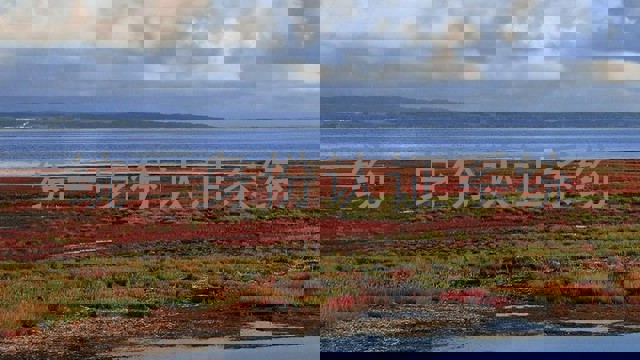 统一身份认证系统