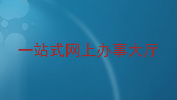 一站式网上办事大厅