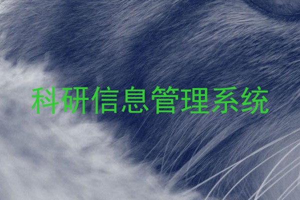 科研信息管理系统