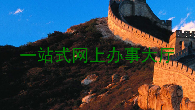 一站式网上办事大厅