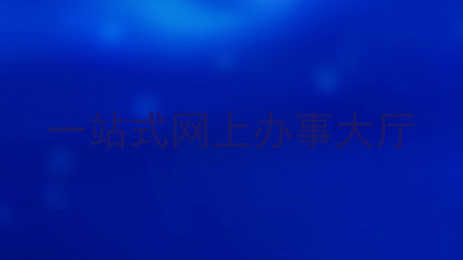 一站式网上办事大厅