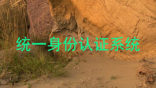 统一身份认证系统