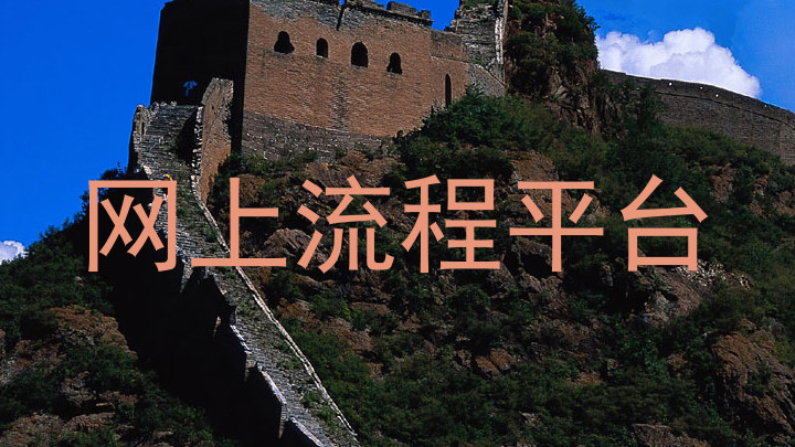 网上流程平台