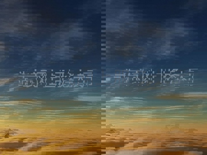 一站式网上服务大厅