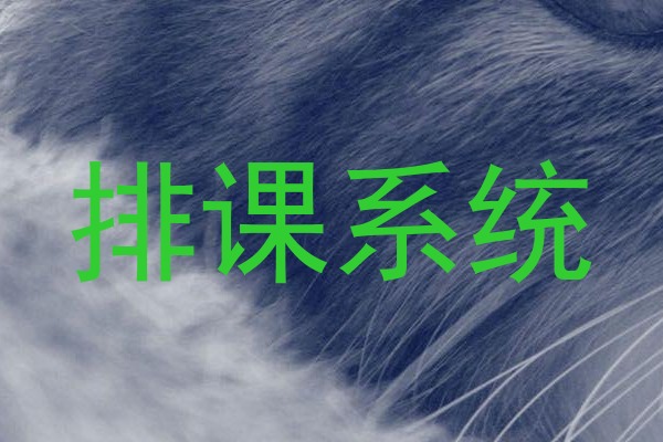排课系统