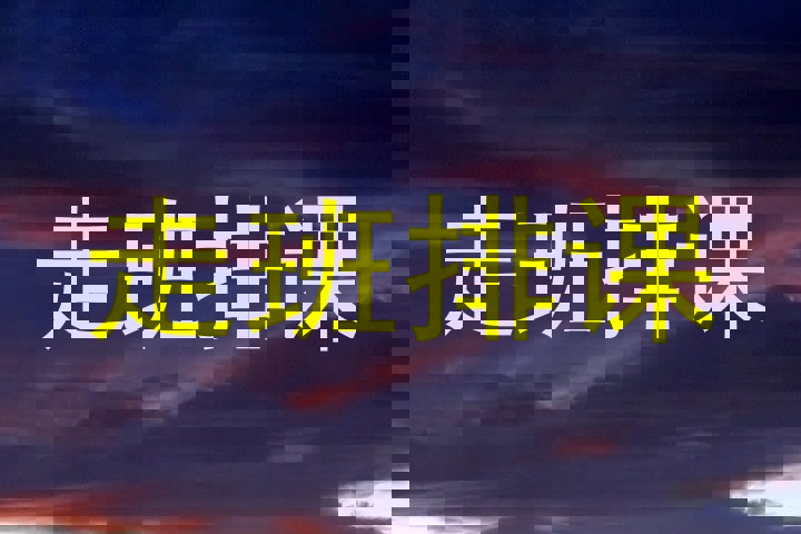 走班排课