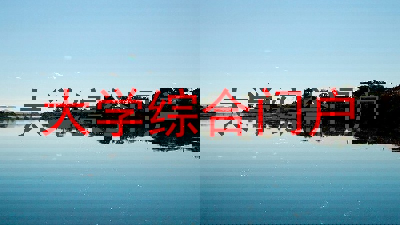 大学综合门户
