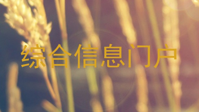 综合信息门户