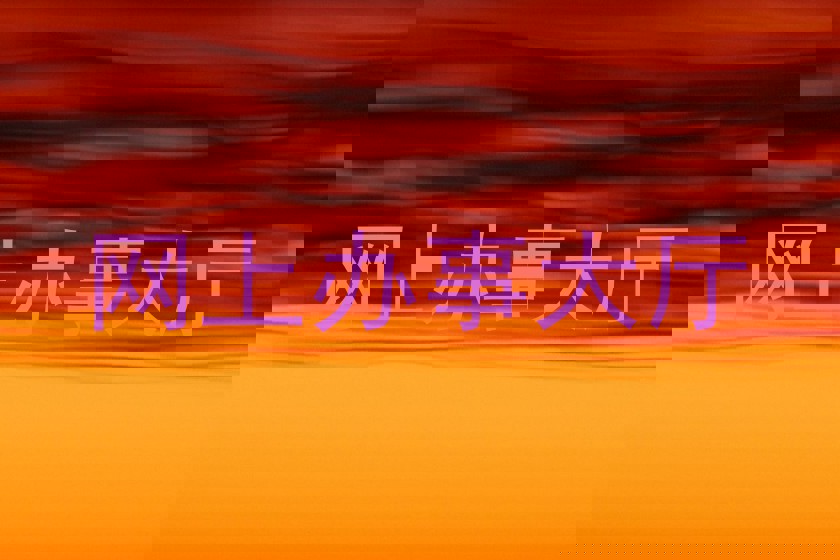 网上办事大厅